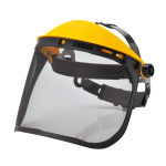 Browguard with Mesh Visor
