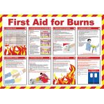 590 x 420mm First Aid for Burns Poster